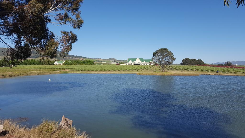 Cana Vineyard Guesthouse Paarl Exterior photo